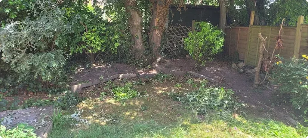 Neglected garden before restoration