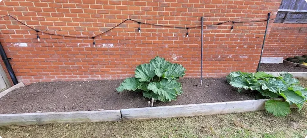 Garden transformation complete