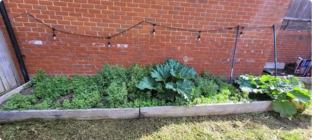 Garden before makeover