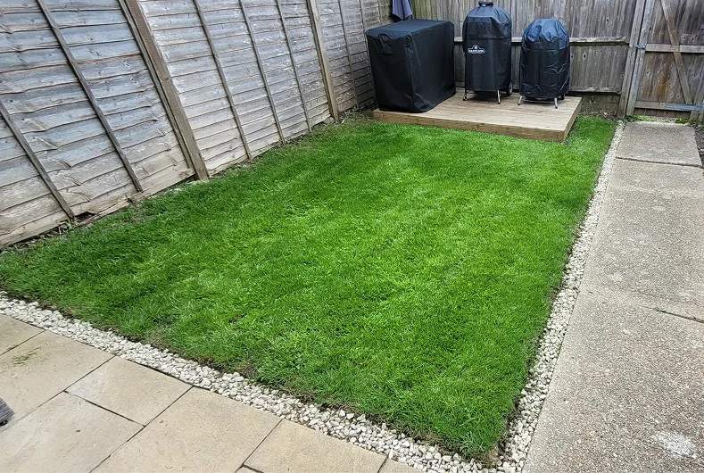 Garden after transformation