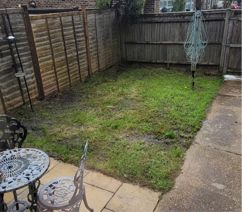 Garden before transformation