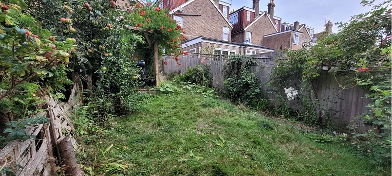 Garden before transformation